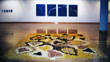 Rosas de Ausencia, Museo de Arte Contemporáneo. Ayto. De Elche.
